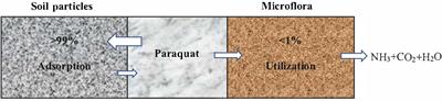 Paraquat Degradation From Contaminated Environments: Current Achievements and Perspectives